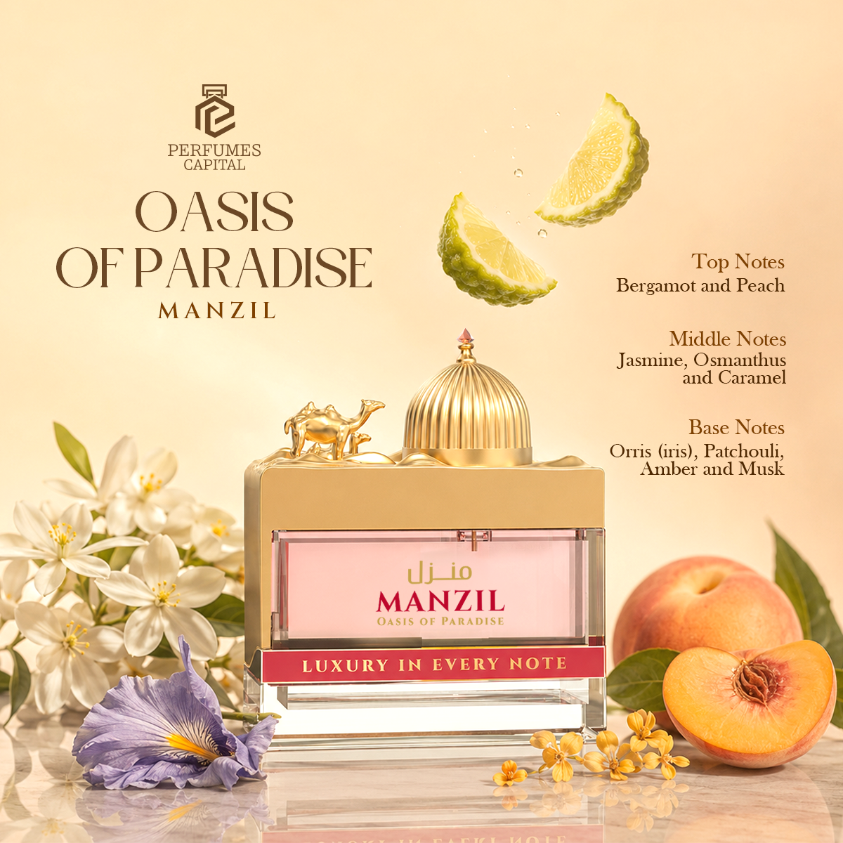 Manzil Oasis Of Paradise