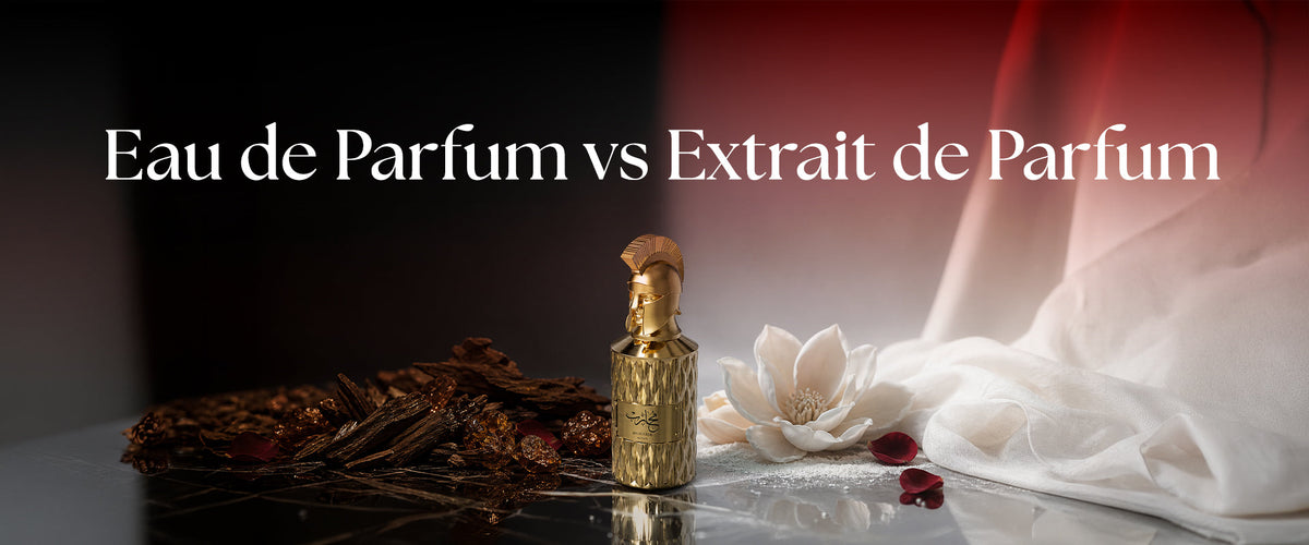 Best Long-Lasting Perfumes for Women in Dubai: Our Top Picks