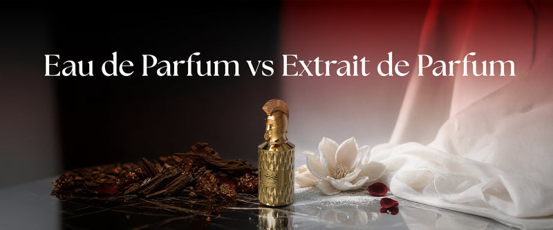 Best Long-Lasting Perfumes for Women in Dubai: Our Top Picks