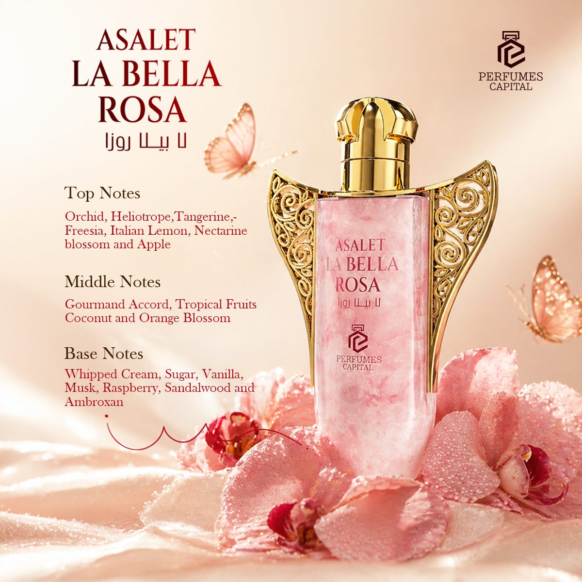 Asalet La Bella Rosa