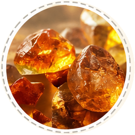 AMBER